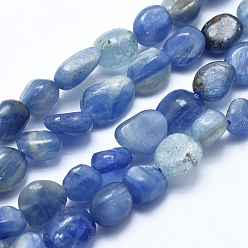 Kyanite Natural Kyanite/Cyanite/Disthene Bead Strands, Tumbled Stone, Nuggets, 5~8mm, Hole: 0.8mm, about 45~47pcs/strand, 15.7 inch(40cm)