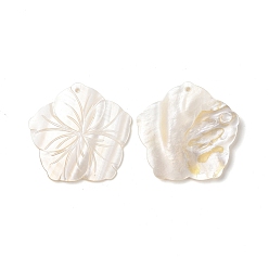 Blanc Pendentifs de coquillages d'eau douce naturelle, charme de fleur, blanc, 43.5x44.5x2.5mm, Trou: 2mm