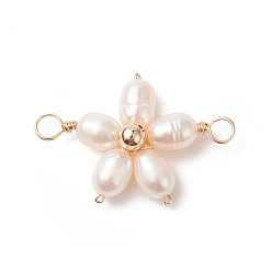 Golden Natural Cultured Freshwater Pearl Connector Charms, with Copper Wire Wrapped, Flower Links, Golden, 28.5x19x6mm, Hole: 3.2mm