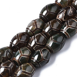 Tortoise Pattern Style tibétain perles dzi, perles en agate naturelles, riz, motif de tortue, 14x10x10mm, Trou: 1mm, Environ 25 pcs/chapelet, 13.58~13.70 pouce (34.5~34.8 cm)
