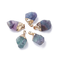 Fluorite Natural Fluorite Pendants, with Iron Findings, Plated Gold, Nuggets, 25~31x15~22x12~16mm, Hole: 6x4mm