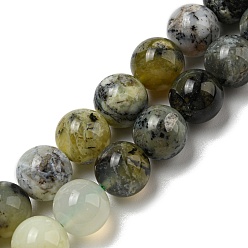 Green Opal Natural Green Opal Beads Strands, Round, 10mm, Hole: 0.8mm, about 39pcs/strand, 15.35~16.02''(39~40.7cm)