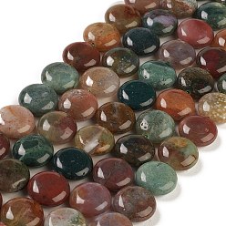 Agate Indienne Naturelles agate indienne brins de perles, plat rond, 14.6~15.5x6~6.5mm, Trou: 0.8mm, Environ 27 pcs/chapelet, 15.59''~15.87'' (39.6~40.3 cm)