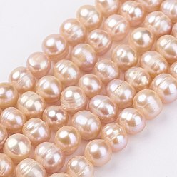 PeachPuff Natural Cultured Freshwater Pearl Beads Strands, Potato, PeachPuff, 7~8mm, Hole: 0.5mm, about 59pcs/strand, 1.36~1.38 inch(34.5~35cm)