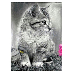 Gris Kits de pintura de diamantes de gato diy, incluyendo lienzo, diamantes de imitación de resina, bolígrafo adhesivo de diamante, plato de bandeja y arcilla de cola, gato, gris, 400x300 mm