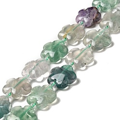 Fluorine Fluorite naturel chapelets de perles, Flower 5 pétales, 15x15x6mm, Trou: 1.2mm, Environ 27 pcs/chapelet, 17.32 pouce (44 cm)