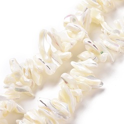 White Natural Trochid Shell Beads Strands, Chip, White, 2~11x22~25x5~8mm, Hole: 0.8mm, about 93~148pcs/strand, 14.57~15.94 inch(37~40.5cm)