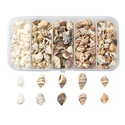 Couleur Mélangete 5 styles mélangés de perles de coquillages naturels, sans trou, formes mixtes, couleur mixte, 6~20x3~11x3~9mm, 54 g / boîte