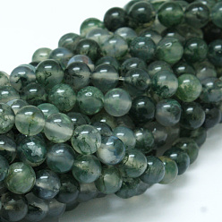 Agate Mousse Naturelles agate perles brins, ronde, Grade a, 8mm, Trou: 1mm, Environ 47 pcs/chapelet, 15 pouce