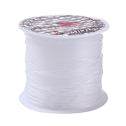 Clair Fil de nylon, fil de pêche, fil de suspension invisible, pour perler, décoration suspendue, clair, 1.0mm, environ 5.46 yards (5m)/rouleau