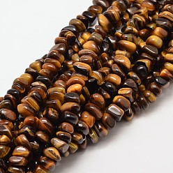 Tiger Eye Natural Tiger Eye Chip Beads Strands, 7~9x7~9mm, Hole: 1mm, about 72~83pcs/strand, 15.7 inch