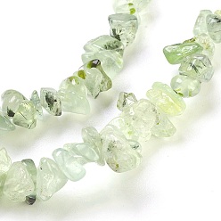 Prehnite Perles naturelles préhnite brins, puce, 4~18x3~10mm, Trou: 0.5mm, 30.7 pouce (78 cm)