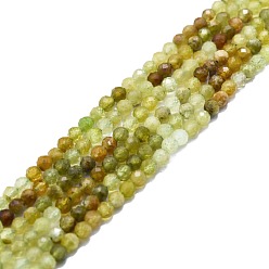 Garnet Natural Green Garnet Beads Strands, Faceted, Round, 3mm, Hole: 0.8mm, about 85pcs/strand, 15.16''~15.55''(38.5~39.5cm)