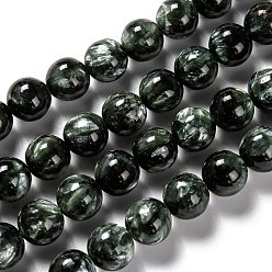 Seraphinite Natural Seraphinite Beads Strands, Round, Grade A, 8.5mm, Hole: 1mm, about 47pcs/strand, 15.43 inch(39.2cm)