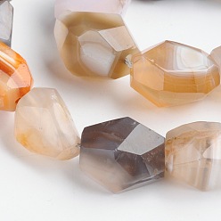 Botswana Agate Nuggets Natural Botswana Agate Beads Strands, 15~22x8~17mm, Hole: 1mm, about 18~22pcs/strand, 15 inch