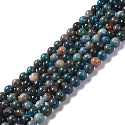 Apatite Natural Apatite Beads Strands, Round, 8mm, Hole: 1mm, about 50pcs/strand, 15.35''(39cm)