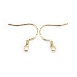 Golden 304 Stainless Steel Earring Hooks, Ear Wire, with Horizontal Loop, Golden, 18.5x20x2mm, Hole: 2mm, 21 Gauge, Pin: 0.7mm