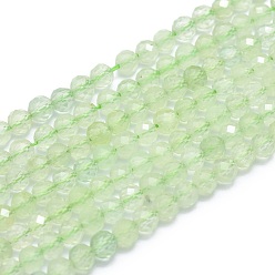 Prehnita Perlas naturales prehnita hebras, facetados, rondo, 4 mm, agujero: 0.8 mm, sobre 91 unidades / cadena, 15.7 pulgada (40 cm)