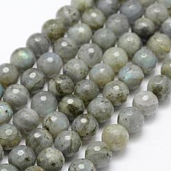 Labradorite Natural Labradorite Beads Strands, Round, Faceted, 10mm, Hole: 1mm, about 39pcs/strand, 15.1 inch(38.5cm)
