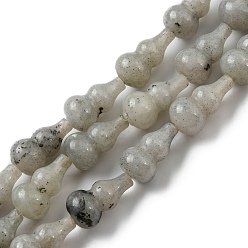 Labradorite Chapelets de perles labradorite naturelle , gourde, 17.5~18.5x9.5~10mm, Trou: 1.2mm, Environ 23~24 pcs/chapelet, 16.14~16.34 pouce (41~41.5 cm)