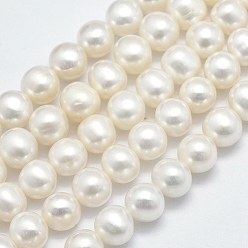 Beige Hilos de perlas de agua dulce cultivadas naturales, rondo, crema, 7~8 mm, agujero: 0.8 mm, sobre 60 unidades / cadena, 15.7 pulgada (40 cm)