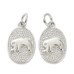 Real Platinum Plated Rack Plating Brass Rhinestone Pendants, with Jump Ring, Long-Lasting Plated, Textured, Oval with Elephant, Crystal, Real Platinum Plated, 16x10x2mm, Hole: 3mm