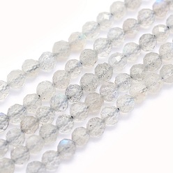 Labradorite Natural Labradorite Beads Strands, Round, Faceted, 3mm, Hole: 0.5mm, about 117~130pcs/strand, 15.3 inch(39cm)