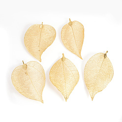 Golden Plated Electroplated Natural Leaf Big Pendants, with Iron Findings, Golden Plated, 55~85x25~40x1mm, Hole: 3x6mm