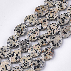 Далматинских Джаспер Природные яшмы далматин бисер нитей, граненые, слеза, 18x13~13.5x5.5~6 мм, отверстие : 1.2 мм, около 11 шт / нитка, 7.8 дюйм