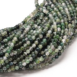 Agate Mousse Agate mousse naturelle rangées de perles rondes, 4mm, Trou: 1mm, Environ 89 pcs/chapelet, 15 pouce