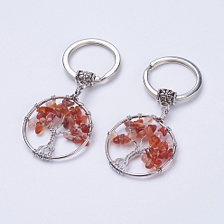 Carnelian Natural Carnelian Keychain, with Iron Key Rings and Brass Finding, Flat Round with Tree of Life, 65~67mm, 36x29x5~8mm