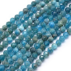 Apatite Natural Apatite Beads Strands, Faceted, Round, 4mm, Hole: 1mm, about 95pcs/strand, 15.35 inch(39cm)