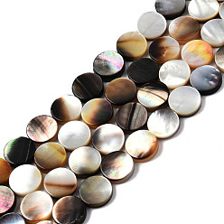Black Lip Shell Natural Black Lip Shell Beads Strands, Flat Round, 10x2.5~3mm, Hole: 0.8mm, about 40pcs/strand, 15.35 inch(39cm)