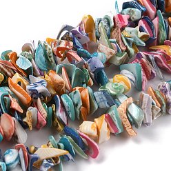 Coloré Perles de coquillage en spirale naturelle, puces, colorées, 9~22x9~22x1mm, Trou: 1.2mm, Environ 243 pcs/chapelet, 15.75'' (40 cm)