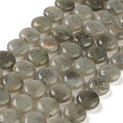 Gris Chapelets de perles labradorite naturelle , plat rond, 14.6~15.5x6~6.5mm, Trou: 0.8mm, Environ 27 pcs/chapelet, 15.59''~15.87'' (39.6~40.3 cm)