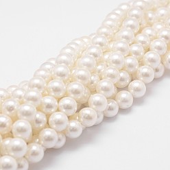 Old Lace Rainbow Plated Shell Pearl Bead Strands, Grade A, Round, Old Lace, 8mm, Hole: 1mm, about 51pcs/strand, 16 inch