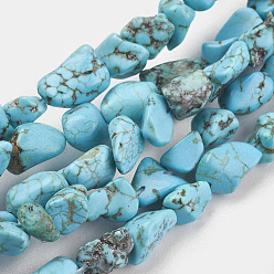 Howlite Natural Magnesite Beads Strands, Dyed & Heated, Chip, 6~12x6~18x4~8mm, Hole: 1mm, about 45pcs/strand, 15.75 inch