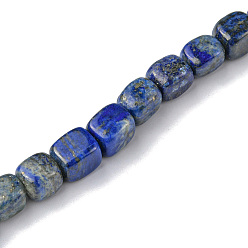 Lapis Lazuli Natural Lapis Lazuli Beads Strands, Cuboid, 8.5~11x7.5~9x7.5~9mm, Hole: 1.2mm, about 20pcs/strand, 7.72~8.74 inch(19.6~22.2cm)