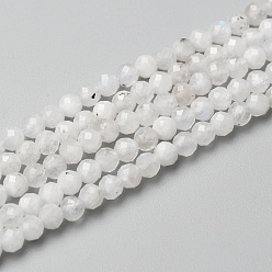 Rainbow Moonstone Natural Rainbow Moonstone Beads Strands, Round, Faceted, 3mm, Hole: 0.6mm, about 140pcs/strand, 15.55 inch(39.5cm)