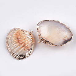 Seashell Color Electroplate Sea Shell Pendants, with Iron Findings, Light Gold, Seashell Color, 27~34x31~38x9~11mm, Hole: 1mm