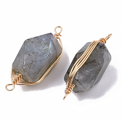 Labradorite Natural Labradorite Links connectors, Brass Wire Wrapped Links, Faceted, Column, Golden, 22.5~32x9~12x8~9mm, Hole: 1.2mm