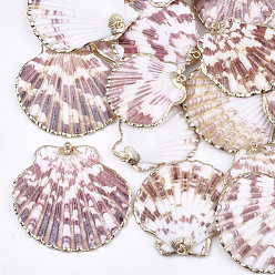 Coloré Pendentifs coquille de mer, avec les accessoires en fer, or et de lumière, colorées, 35~53x34~52x7~11mm, Trou: 2mm