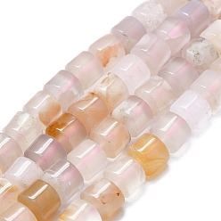 Cherry Blossom Agate Natural Cherry Blossom Agate Beads Strands, Column, 8.5x8mm, Hole: 0.8mm, about 60pcs/strand, 15.94''(40.5cm)