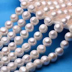 Beige Potato Natural Cultured Freshwater Pearl Beads Strands, Beige, 11~12mm, Hole: 0.8mm, about 33~38pcs/strand, 13.7 inch~15.7 inch