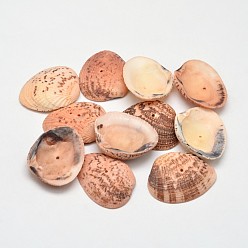 Marron Sablonneux Perles de coquillage naturel teintées, Sandy Brown, 32~37x20~29x8~10mm, trou: 1 mm, environ 100 pcs / 500 g