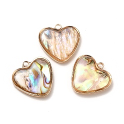 Corazón Colgantes de esmalte de bronce, concha de abulón de imitación, real 14 k chapado en oro, sin plomo y cadmio, corazón, 15x15.5x3.5~4.5 mm, agujero: 1.5 mm