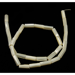 White Natural White Shell Beads Strands, Mother of Pearl Shell Beads, Column, White, about 6mm wide, 14mm long, hole: 1mm, 29 pcs/strand, 16 inch