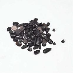 Obsidian Natural Obsidian Chip Beads, No Hole/Undrilled, 3~9x1~4mm