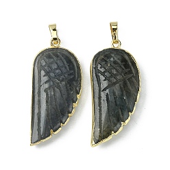 Labradorite Natural Labradorite Pendants, Wing Charms, with Rack Plating Golden Plated Brass Edge, 39x18x7mm, Hole: 6x4mm