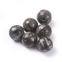 Fossil Natural Fossil Beads, Round, 10mm, Hole: 1mm